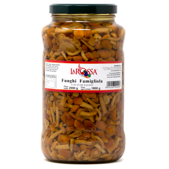 Funghi Famigliola (Nameko) in olio di semi di girasole